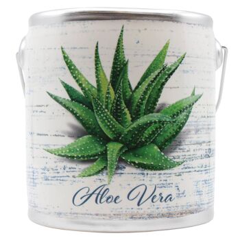 Bougie Fraîche de Ferme 20Oz (Succulentes) - Aloe Vera 1