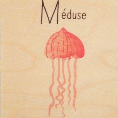 Tarjeta de madera - medusas abc