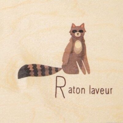 Carte en bois- abc raton laveur