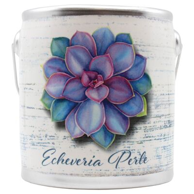 20Oz Farm Fresh Candle (Succulents)- Echeveria Perle