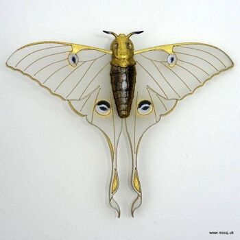 Broche Luna Moth Blanche Neige Petite 1