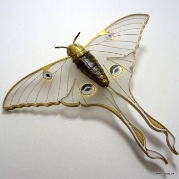 Broche Luna Moth Blanche Neige Petite 3