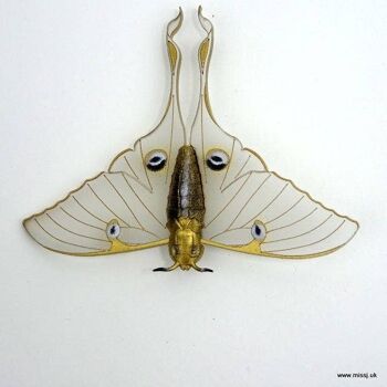 Broche Luna Moth Blanche Neige Petite 4