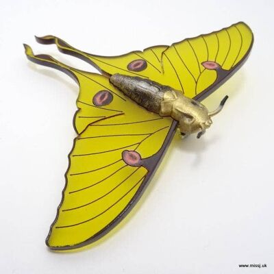 Luna Moth Brooch Saffron Yellow Small