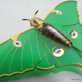 Luna Moth Broche Jade Vert Petit 2