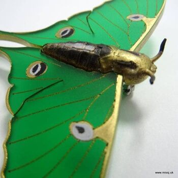 Luna Moth Broche Jade Vert Petit 3