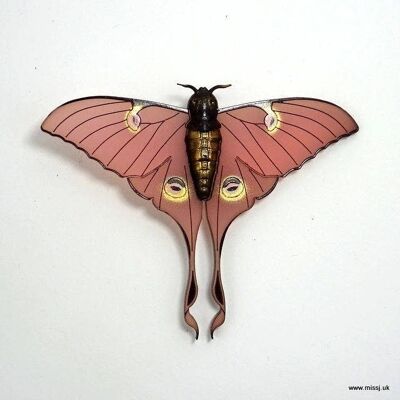 Broche Luna Moth Blush Rosa Grande