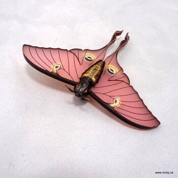 Luna Moth Broche Blush Pink Large 4