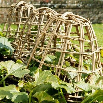 Willow Plant Covers set of 3 - PC1/LAvailable 2022