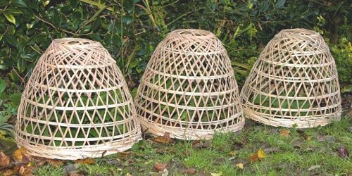Bamboo Plant Covers set of 3 - PC2/L Available Autumn