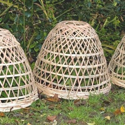 Juego de 3 cubiertas de bambú para plantas - PC2 / L disponible en otoño