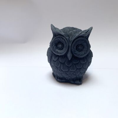 3D Owl