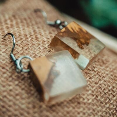 Eucalyptus burl earrings