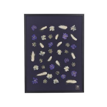 Herbier de fleurs séchées - Courchevel 9