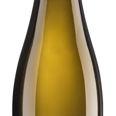 Riesling secco 2022