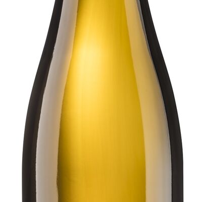 Riesling semiseco 2023