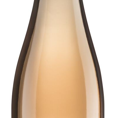 Pinot Noir Rosé 2022