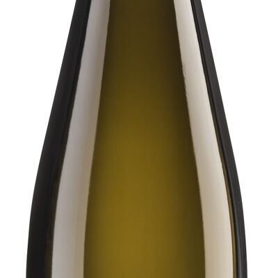 Riesling from Gravel 2022