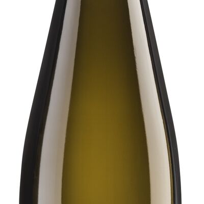 Riesling de Kies 2022