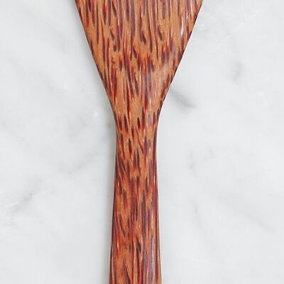 Coconut spatula (1)