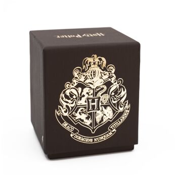 Bougie Parfumée Harry Potter - Drago Malefoy 5