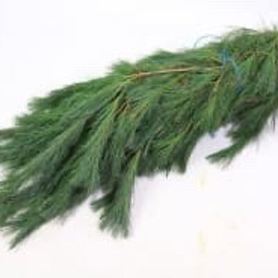 Buisson de paille de Pinus - 75 cm