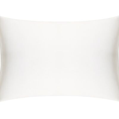 Ivory Pure Silk Pillowcase - Standard - Without