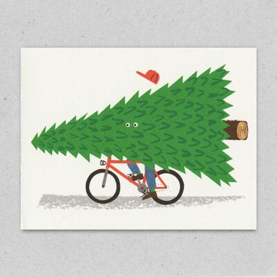 CHRISTMAS | Seasonal Cyclist