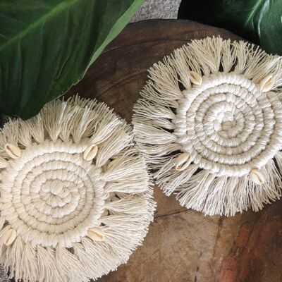 Cowrie coasters