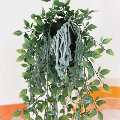 Green fringed plant hanger //