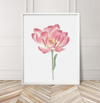 Imprimé Fleur Aquarelle Rose - 20x28 poucesx50x70cm - Cadre Blanc 3