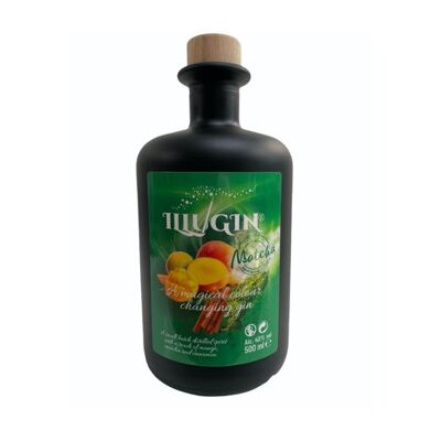 Illugin Matcha & Mango 50