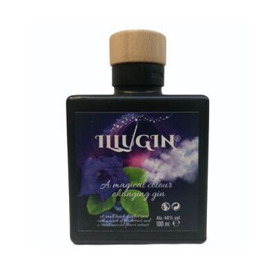 Illugin Blueberry 10