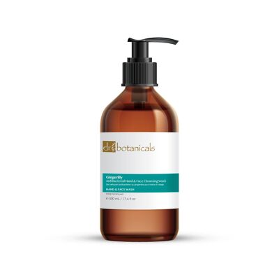 Gingerlily Antibacterial Hand & Face Cleansing Wash 500ml