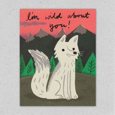 VALENTINE | Wild Wolf