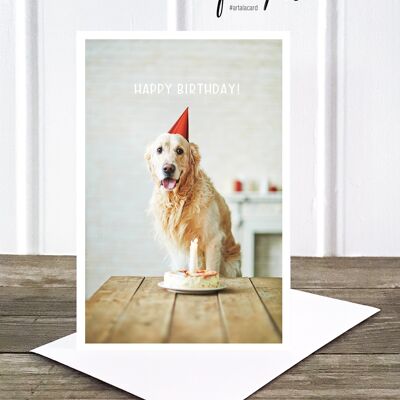 La vida en la tarjeta fotográfica plegable de Pic: perro de cumpleaños