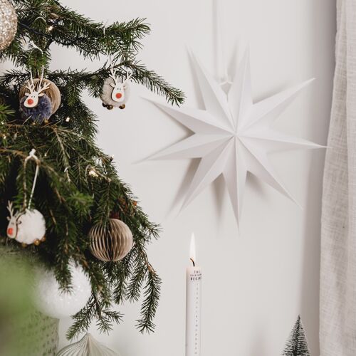 Decorative Hanging Paper Star