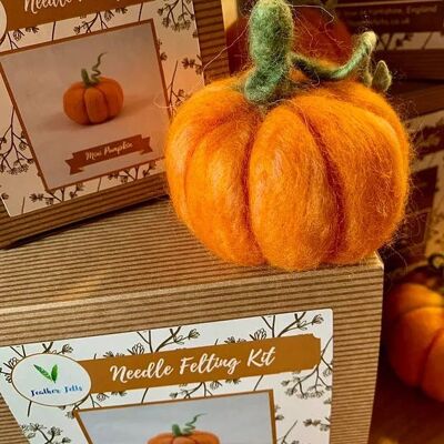 Mini Pumpkin - Needle Felting Kit (With Foam)