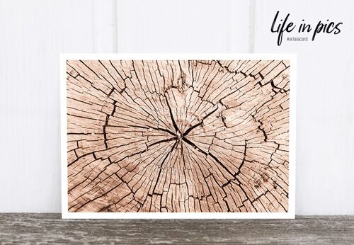 Life in Pic's Foto-Postkarte: Wood