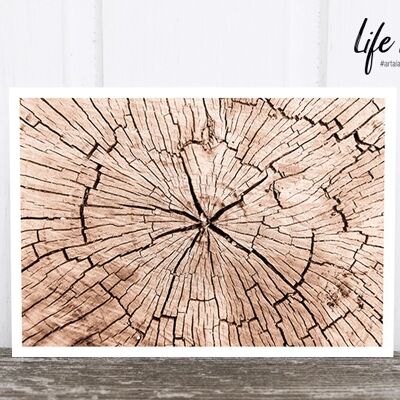 Life in Pic's Foto-Postkarte: Wood