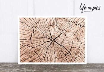 La carte postale photo de Life in Pic : Wood