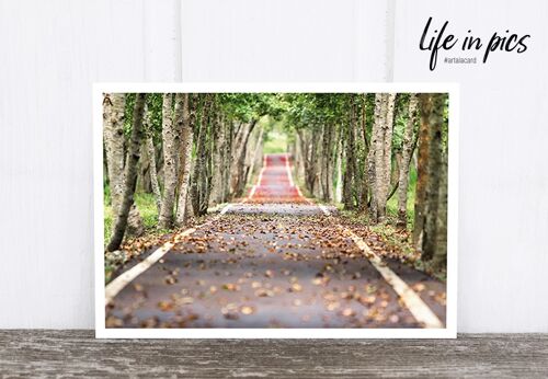 Life in Pic's Foto-Postkarte: Path