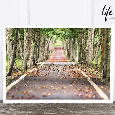 Life in Pic's Foto-Postkarte: Path