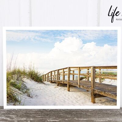 La vie dans la carte postale photo de Pic : Passerelle des dunes