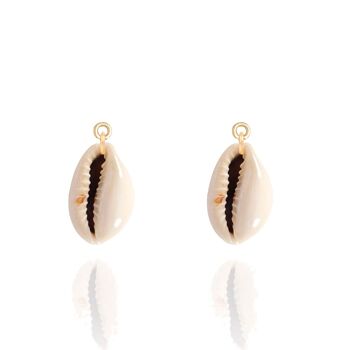 Drops Cowrie 1