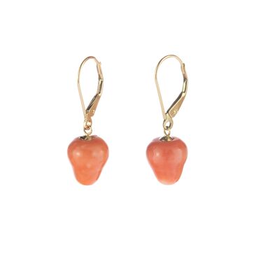 Coral Fruits Earrings