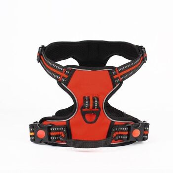 Paws & Son ™ Active - harnais pour chien - L - Rouge 1