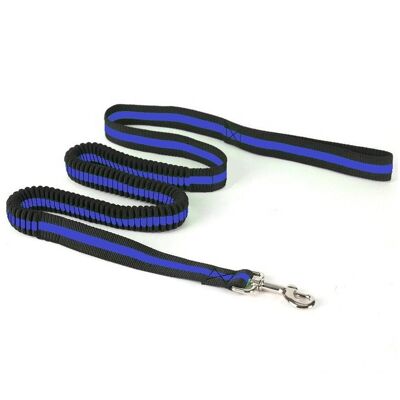 Paws & Son ™ Active - laisse pour chien - Bleu