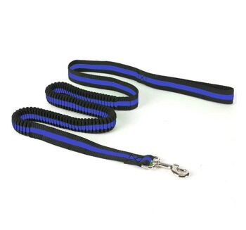 Paws & Son ™ Active - laisse pour chien - Bleu 1