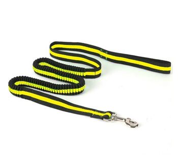 Paws & Son ™ Active - laisse pour chien - Jaune 1